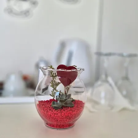 Gasthuis Tisa Old Town