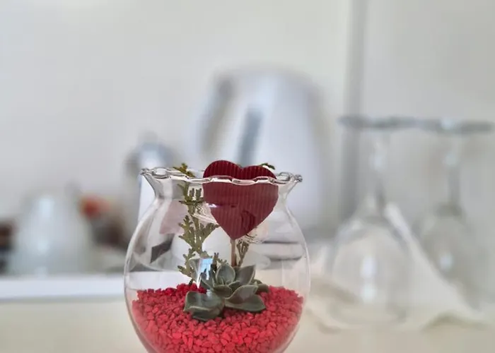 Guest house Rooms Tisa Old Town